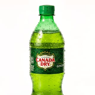 Canada Dry  20 Oz